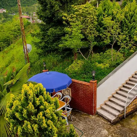 Tatil Evi Natural Village House *