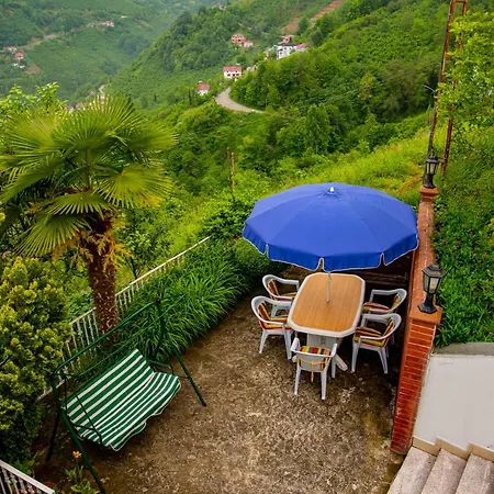 Natural Village House