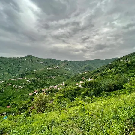 Natural Village House Trabzon