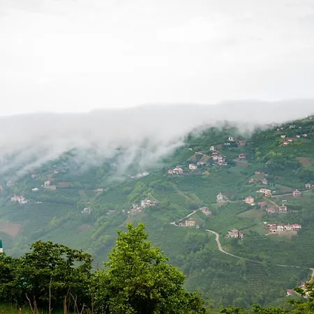 Tatil Evi Natural Village House Trabzon