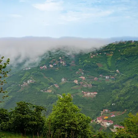 Natural Village House Tatil Evi